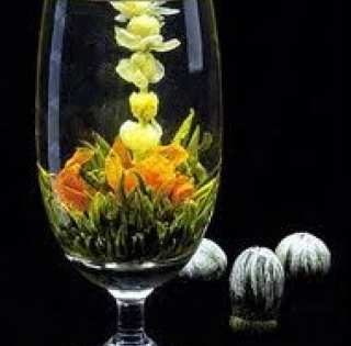 Fleurs de thé de Chine