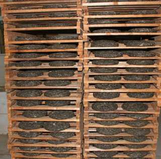 Grossiste producteur de thés du Yunnan pu er dianhong