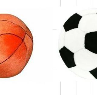 Ballon de foot et/ou basket 2.50€
