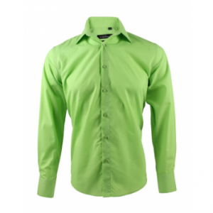 Chemise Vert Classic 7,40 € HT/unité  Référence : 7564